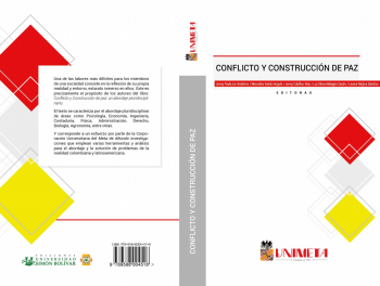 CONFLICTO Y CONSTRUCCIÓN DE PAZ